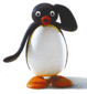 pingu's picture